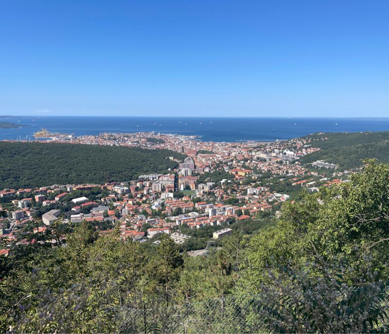 Panoramica