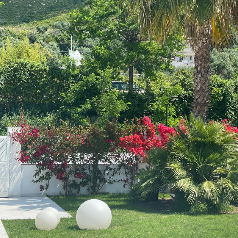 Giardino fiorito