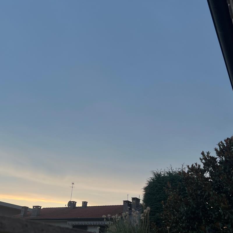 Fotosegnalazione di Mirano