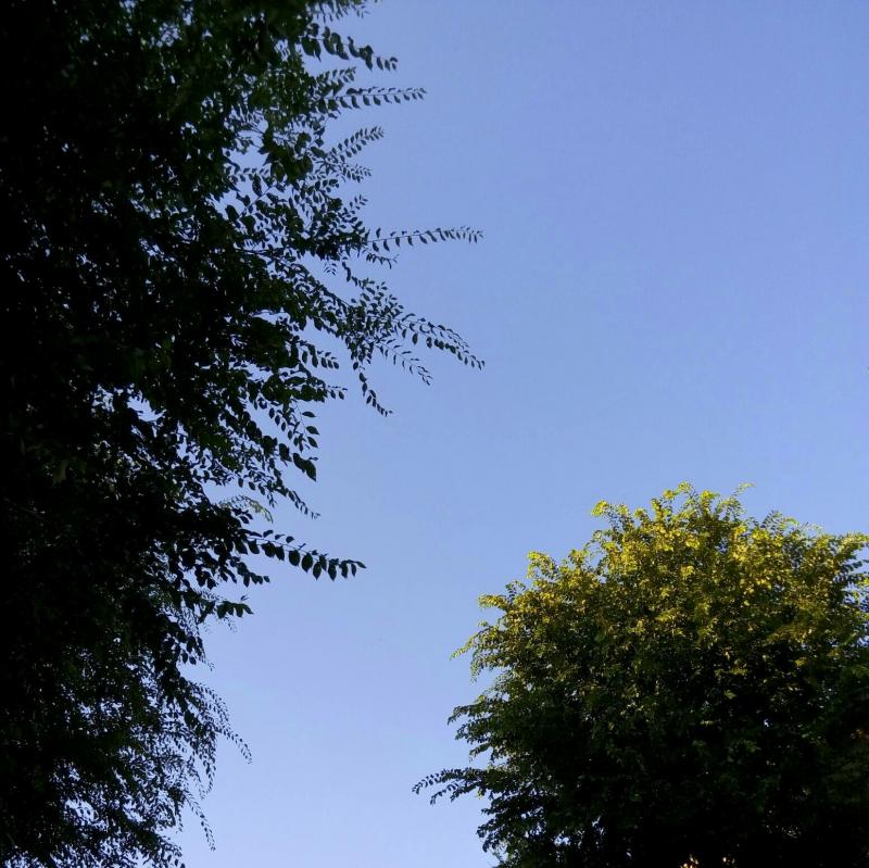 Fotosegnalazione di Bologna