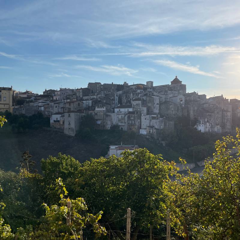 Fotosegnalazione di Vico del gargano