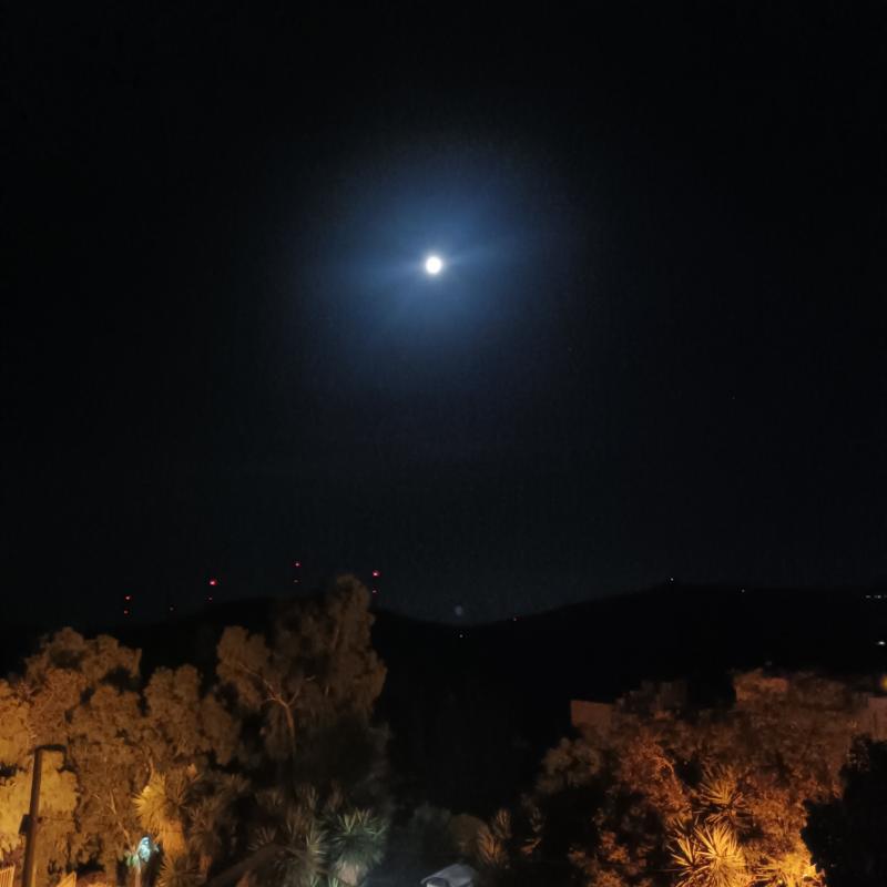 Fotosegnalazione di Roccapalumba