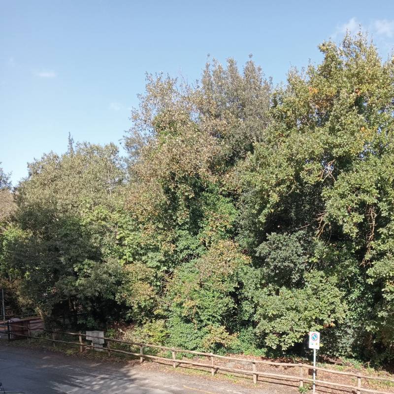 Fotosegnalazione di Mazzano romano
