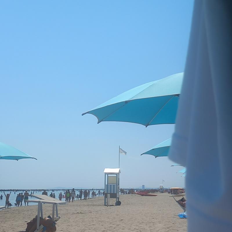 Fotosegnalazione di Bellaria igea marina