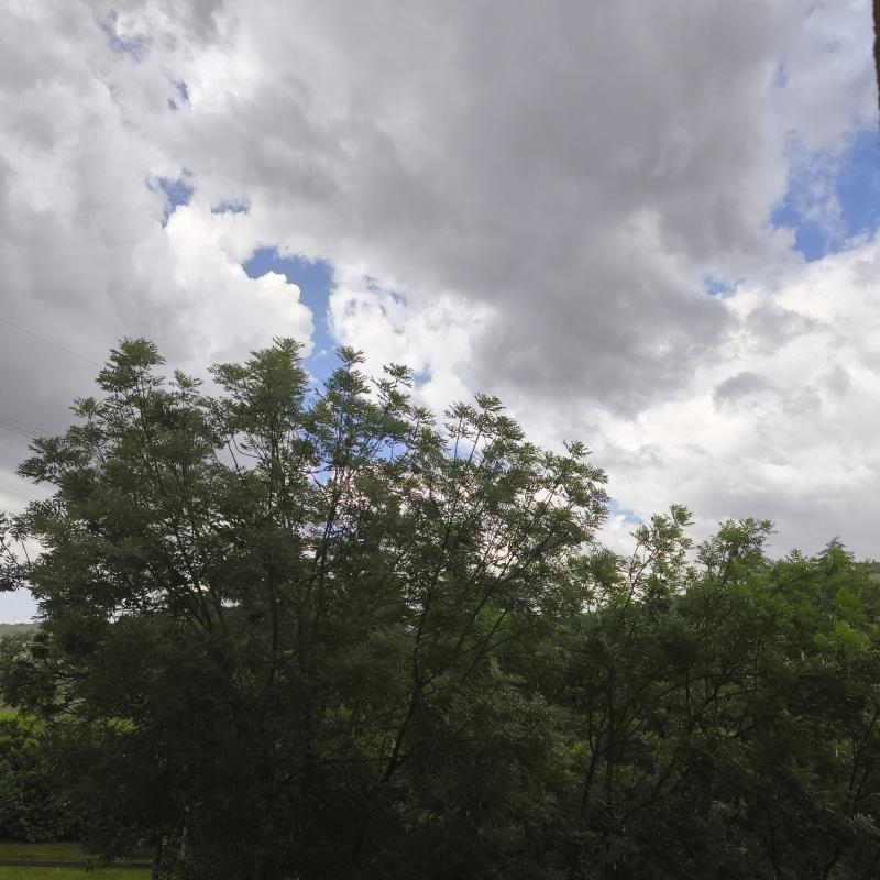 Fotosegnalazione di San lazzaro di savena