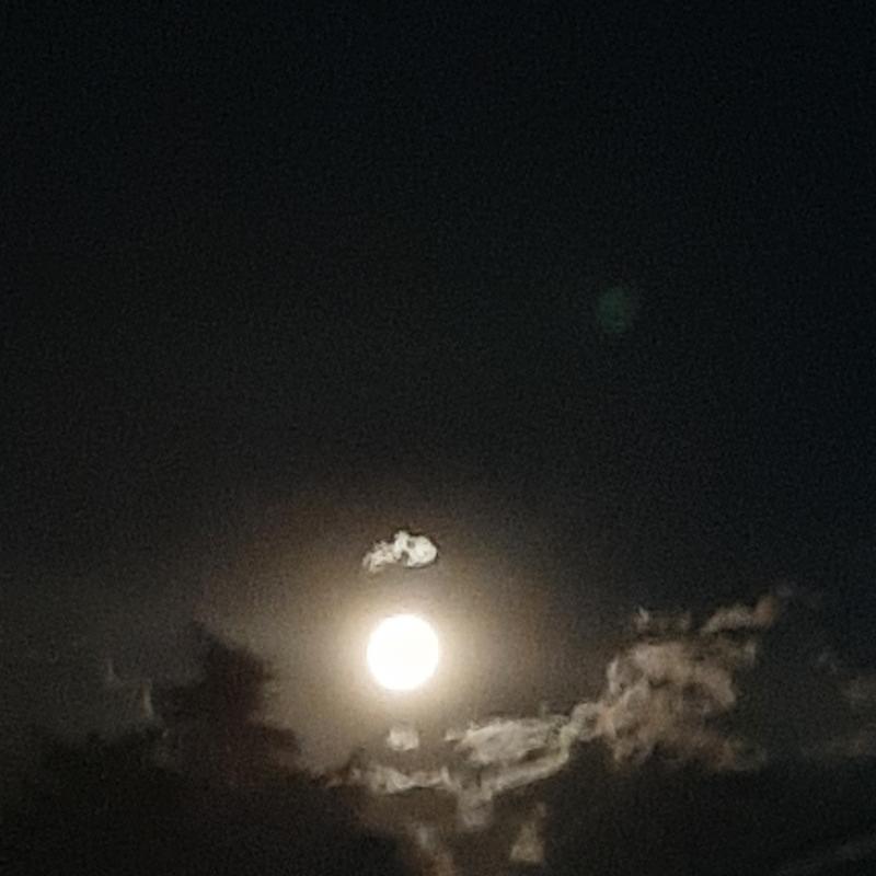 Luna piena
