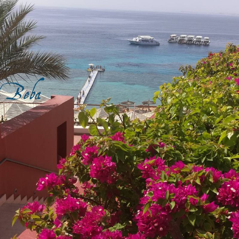 Reef oasis beach