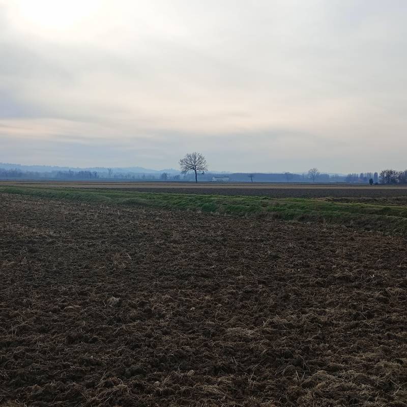 Fotosegnalazione di Frascarolo