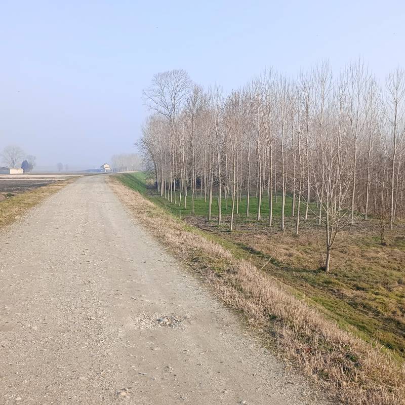 Fotosegnalazione di Frascarolo