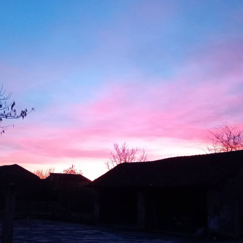 Fotosegnalazione di Frascarolo