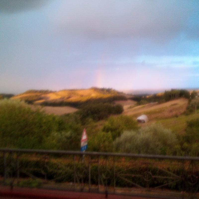 Fotosegnalazione di Collesalvetti