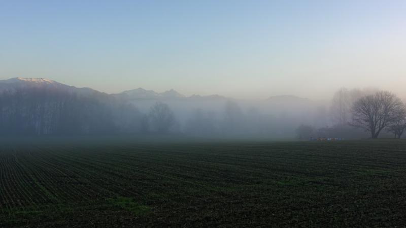 brume invernali all'alba alle buscianne