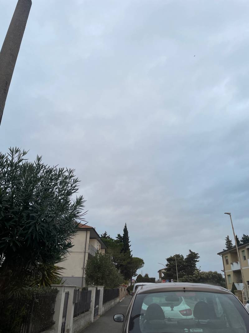 Fotosegnalazione di Bibbona