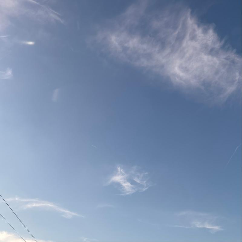 Fotosegnalazione di Vimercate