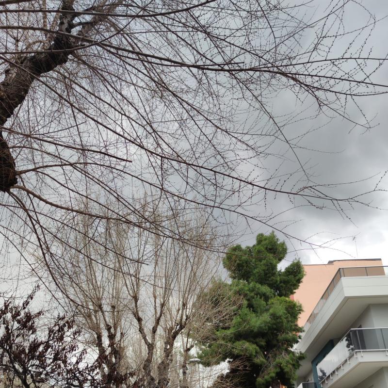 Fotosegnalazione di Barletta centro urbano