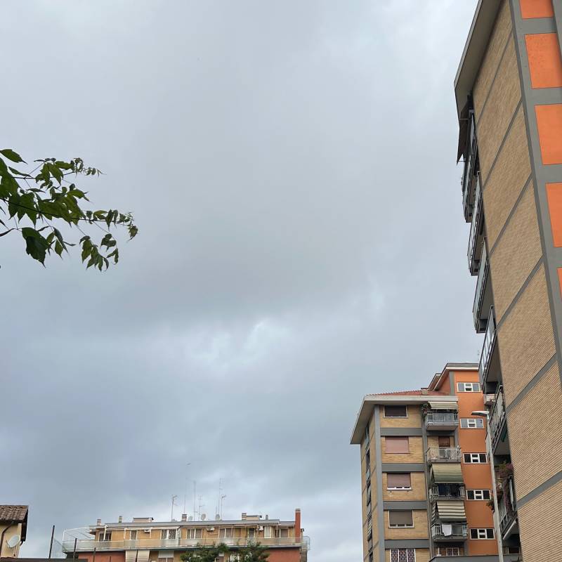 Fotosegnalazione di Roma portuense