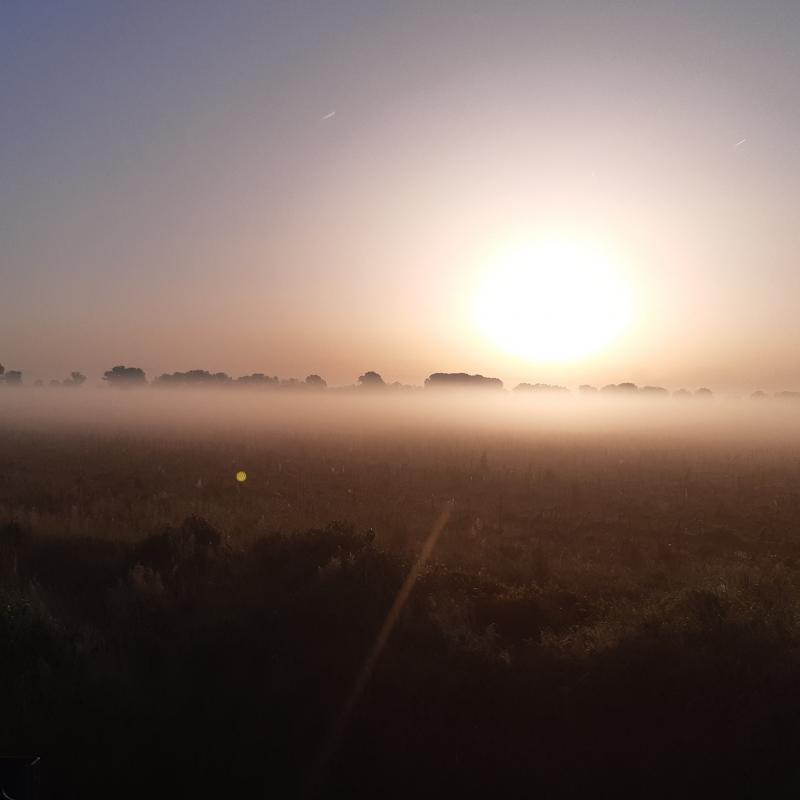 alba con nebbia