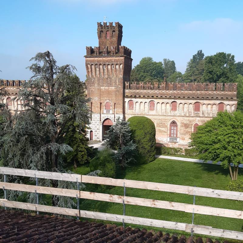 Fotosegnalazione di Cicognolo