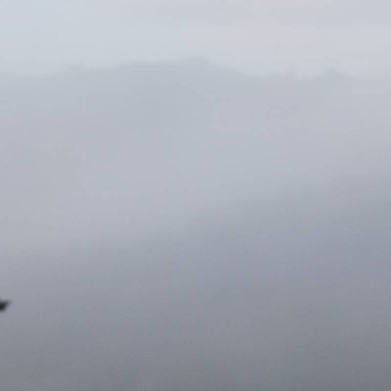 Nebbia nella valle del sabato