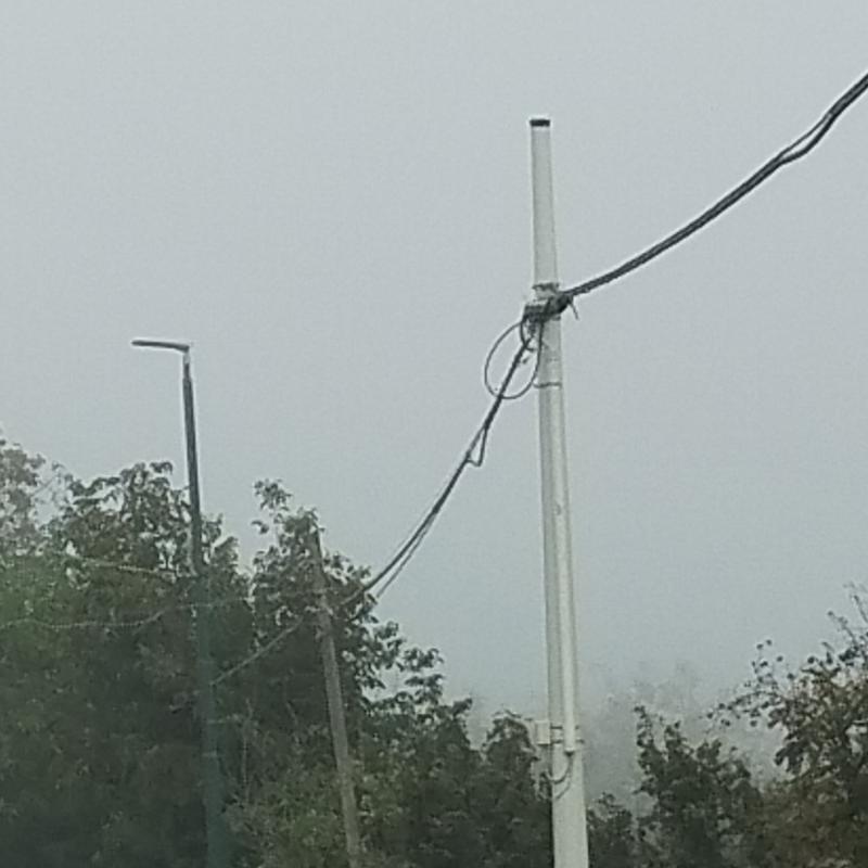 Nebbia fitta