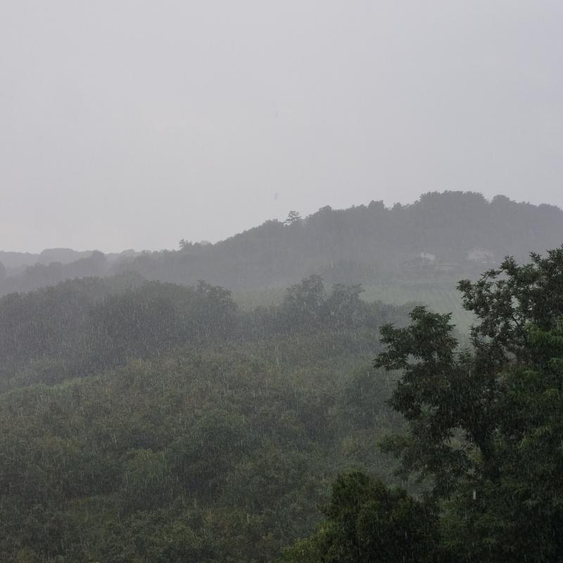 Diluvia .... previsioni 4 gocce