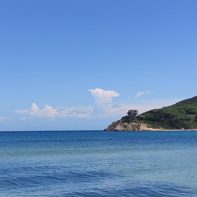 Fotosegnalazione di Procchio