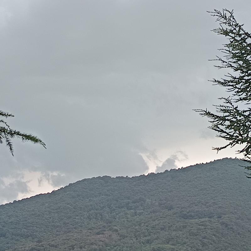 Temporale monticelli brusati