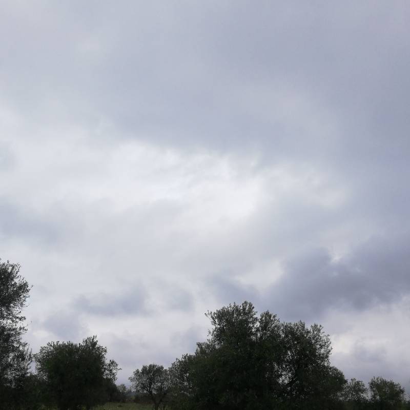 Fotosegnalazione di Palo del colle
