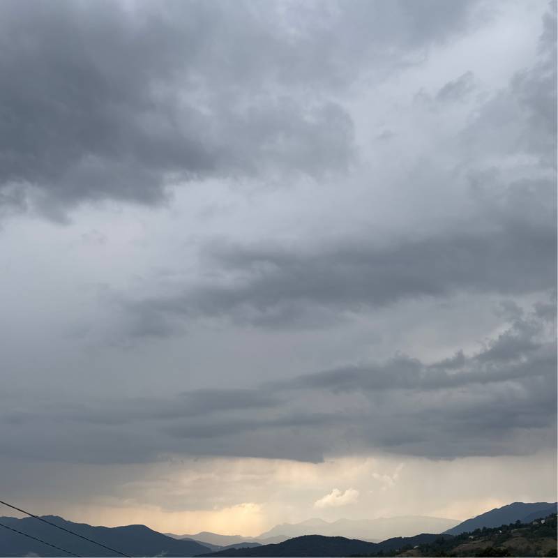 Fotosegnalazione di Ateleta