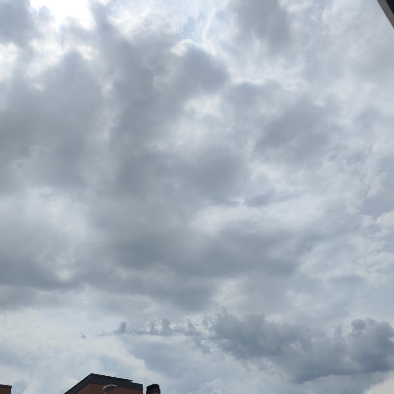 Fotosegnalazione di Altamura