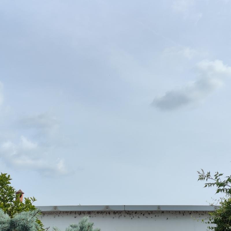 Fotosegnalazione di Noviglio