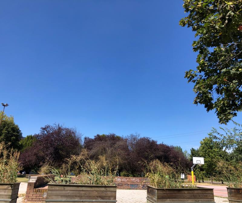 Fotosegnalazione di Parma lubiana
