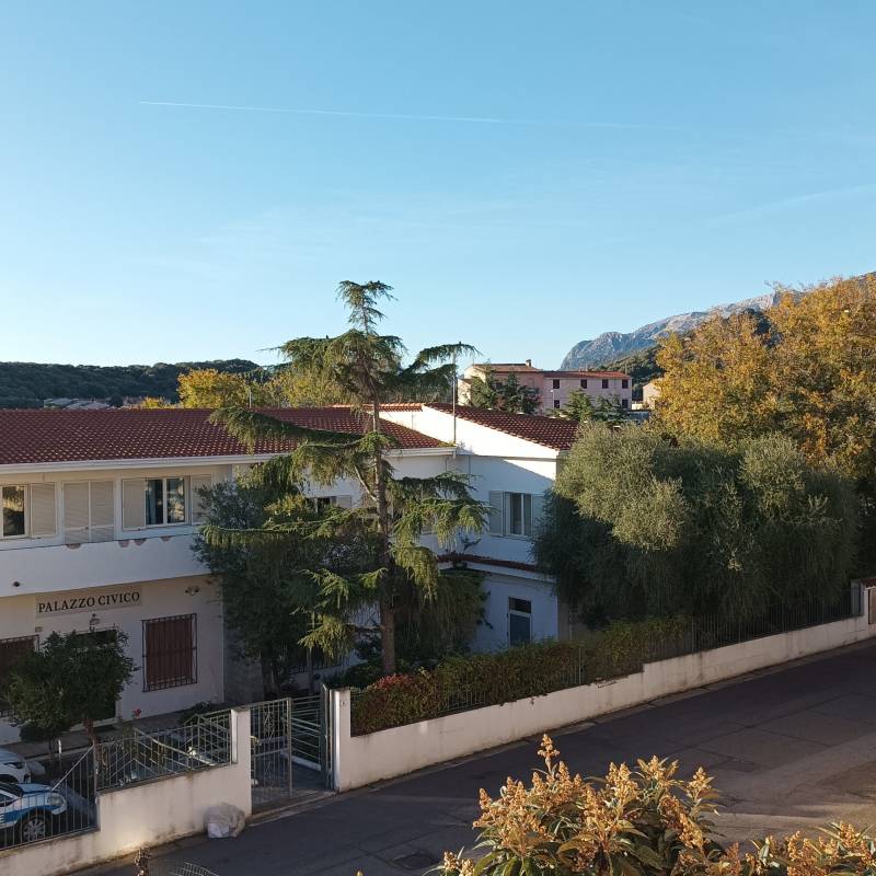 Fotosegnalazione di Posada