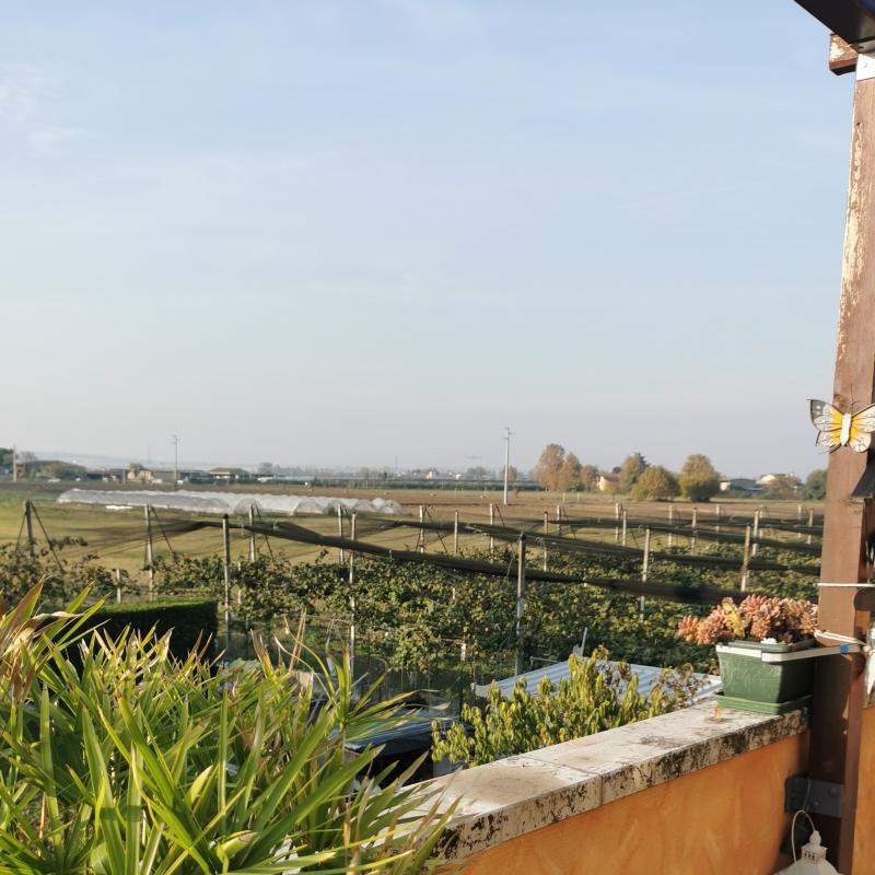 Fotosegnalazione di Povegliano veronese