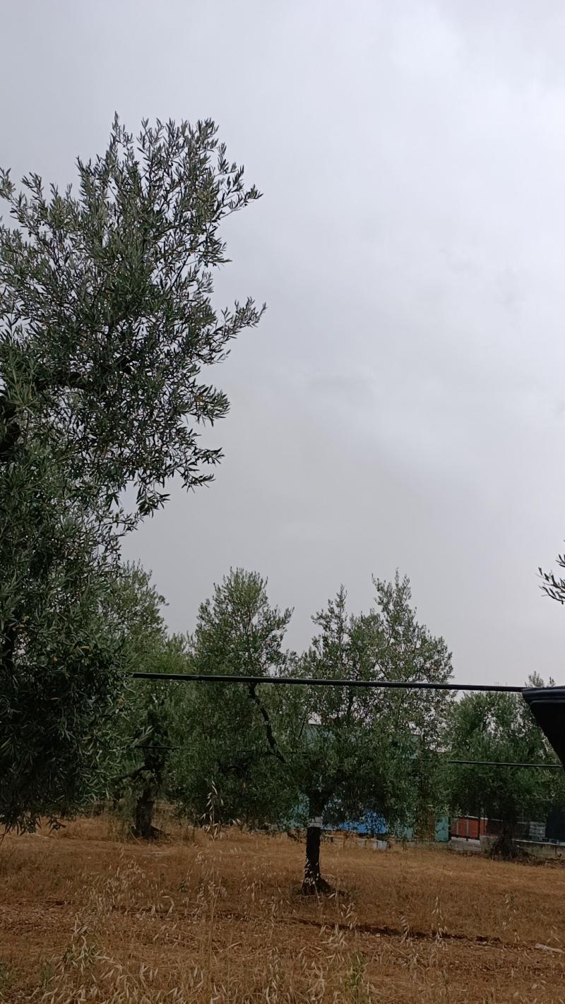 Ore 18.09