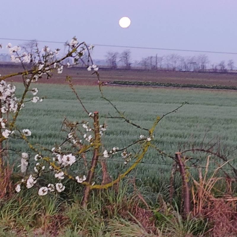 Fotosegnalazione di Voghiera
