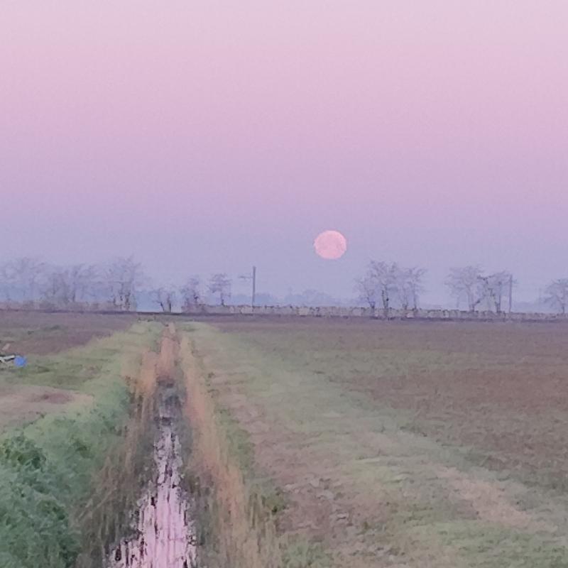 Fotosegnalazione di Voghiera