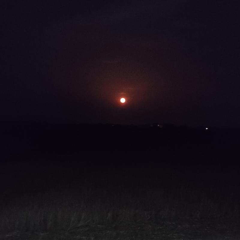 Fotosegnalazione di Voghiera