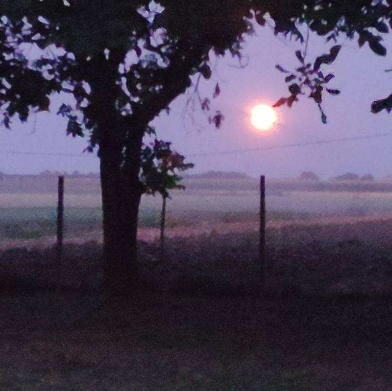 Fotosegnalazione di Voghiera