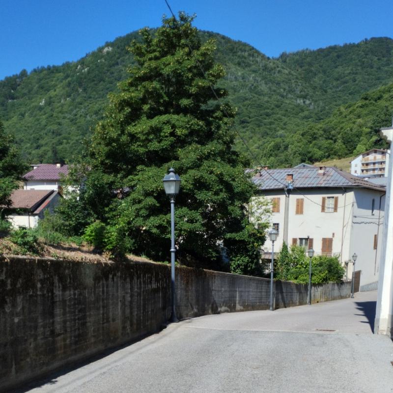 Fotosegnalazione di Frabosa sottana