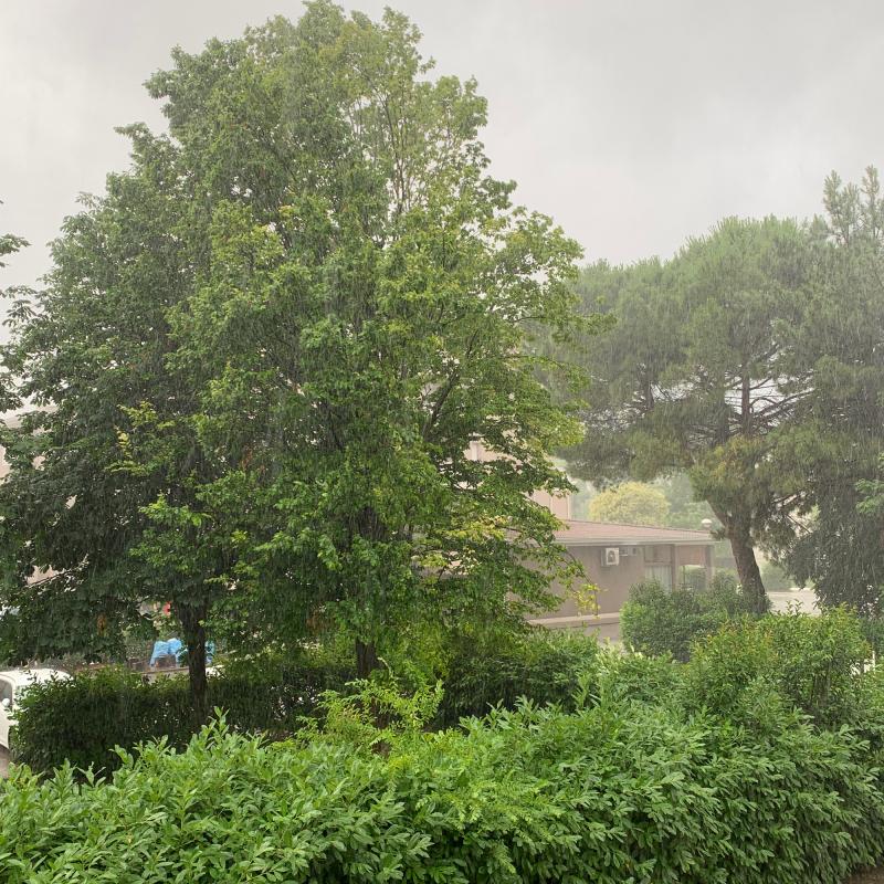 Fotosegnalazione di Motta di livenza