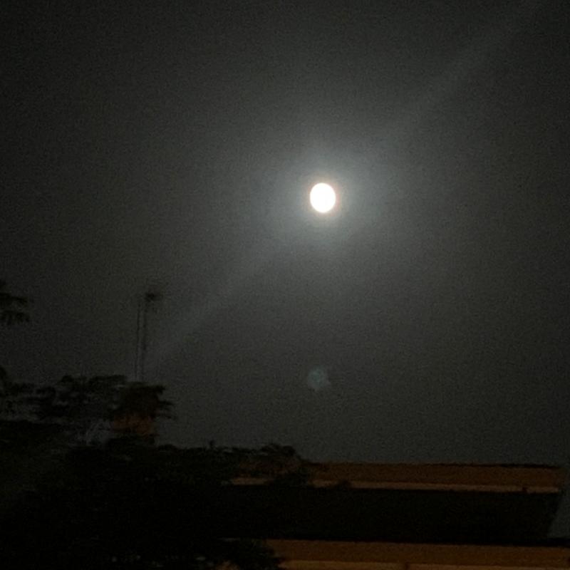 Fotosegnalazione di Motta di livenza