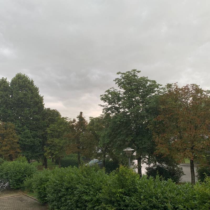 Fotosegnalazione di Motta di livenza