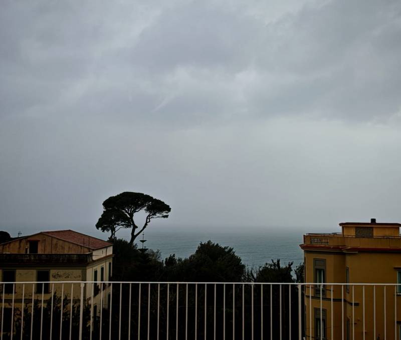 buona giornata