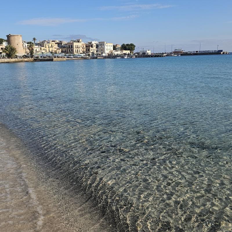 Fotosegnalazione di Palermo partanna - mondello