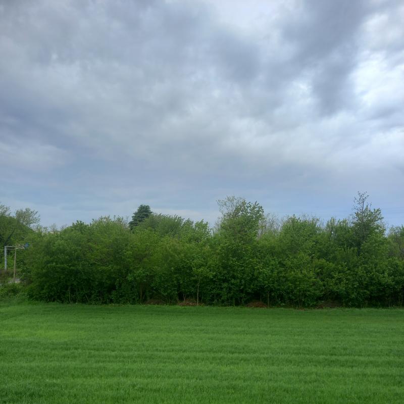 Fotosegnalazione di Desio