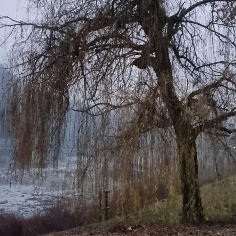 Fotosegnalazione di Romagnano sesia