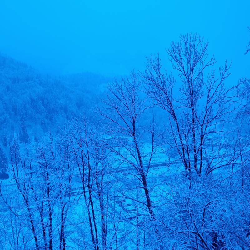Fotosegnalazione di Val di zoldo