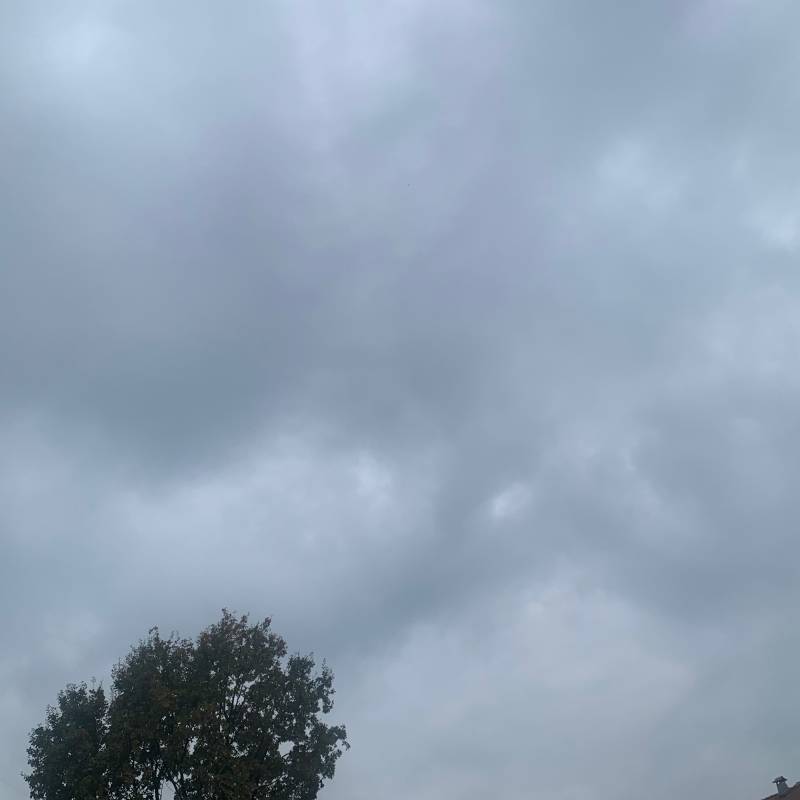 Fotosegnalazione di Basiano