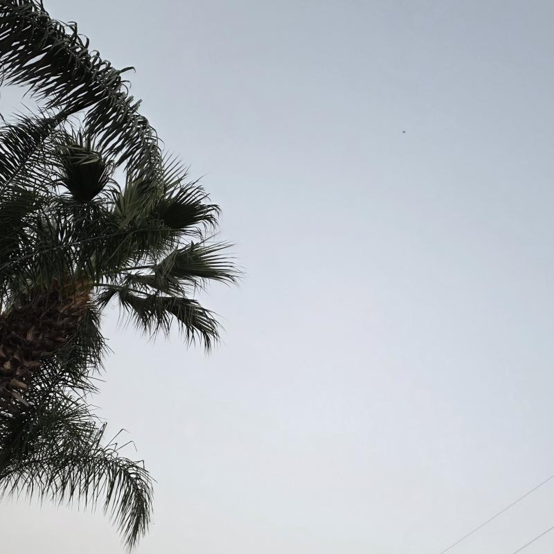 Fotosegnalazione di Palmi